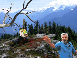 Illustration for article titled Burt Reynolds on a Mountaintop With a Taco is Surprisingly Popular